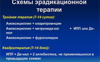 Эрадикация хеликобактер пилори: какой препарат выбрать для эффективного лечения?