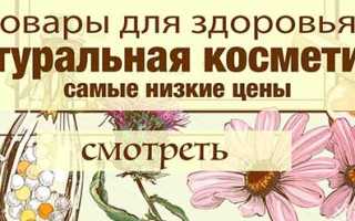 Пошаговая инструкция: что делать, если укусила оса