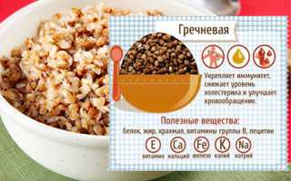 Гречка: 7 полезных свойств, секреты приготовления и советы