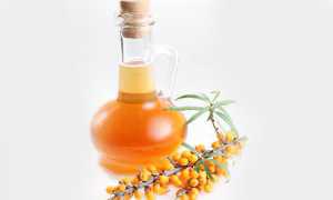 Список самых полезных продуктов при холецистите для здоровья