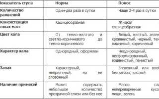 Симптомы, цвет и причины поноса у взрослых и детей