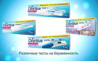Тест на беременность Clearblue: точность и удобство использования