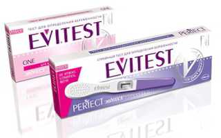Evitest тест на беременность: точность и особенности