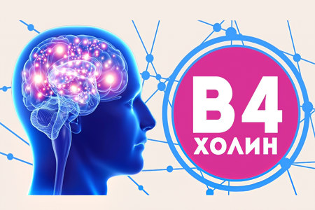 Для чего нам нужен холин