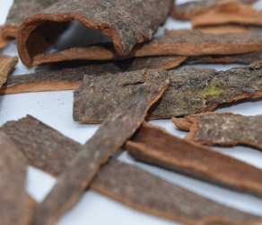 Китайская корица (Cinnamomum Cassia)
